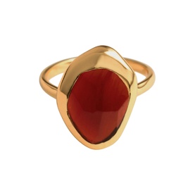 Garnet Stepping Stone Ring