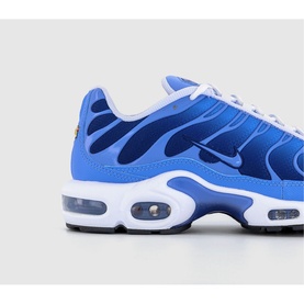 Air Max Plus Trainers