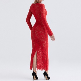 Lisandra Lace Dress