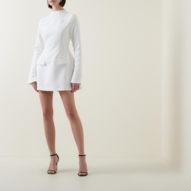 The Ultimate Muse Split Sleeve Mini Dress