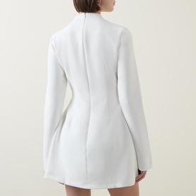 The Ultimate Muse Split Sleeve Mini Dress