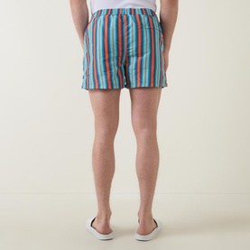 Striped Swim Shorts
