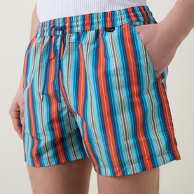 Striped Swim Shorts