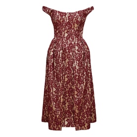 Charming Lace Dress
