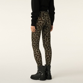 Ascar Leopard Leggings