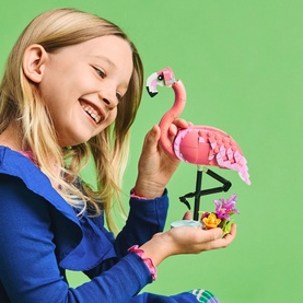 Wild Animals: Pink Flamingo