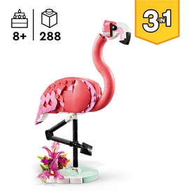 Wild Animals: Pink Flamingo