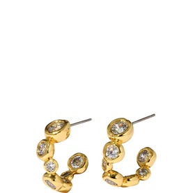 Asterales Small Hoop Earrings