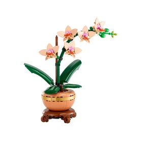 Botanicals Mini Orchid