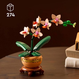 Botanicals Mini Orchid
