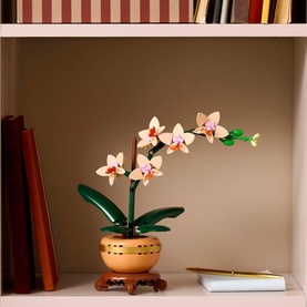 Botanicals Mini Orchid
