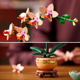 Botanicals Mini Orchid