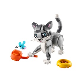 Creator Playful Cat