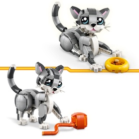 Creator Playful Cat