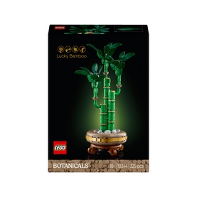 Botanicals Lucky Bamboo