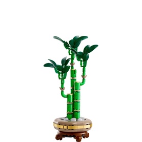 Botanicals Lucky Bamboo