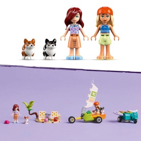 Friends Surfing Dogs and Scooter Adventure