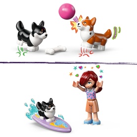 Friends Surfing Dogs and Scooter Adventure