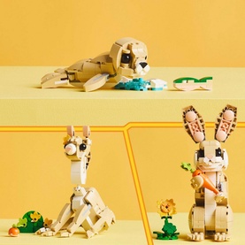 Creator Cute Bunny
