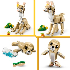 Creator Cute Bunny