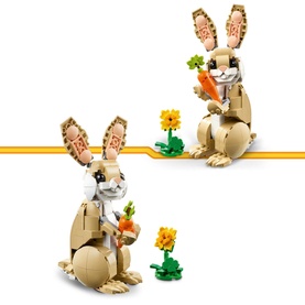 Creator Cute Bunny