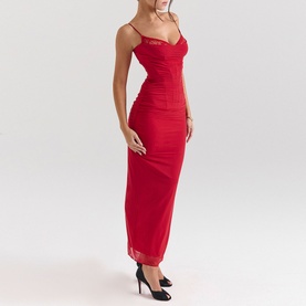 Nalini Mesh Corset Dress