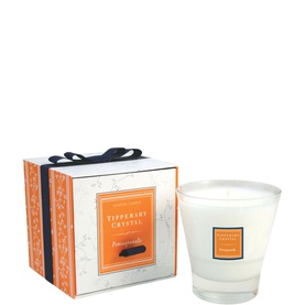 Pomegranate Filled Tumbler Candle