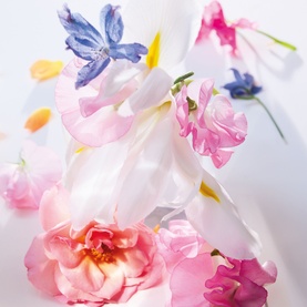 Dior Miss Dior Eau de Parfum fragrance lifestyle shot featuring scattered pink, white and blue florals on a white background.