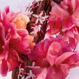 Close-up of pink and coral peonies with delicate star-shaped blossoms, evoking the floral notes of Dior Miss Dior Parfum