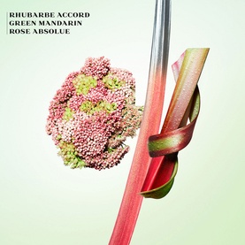 Infusion de Rhubarbe Eau de Parfum