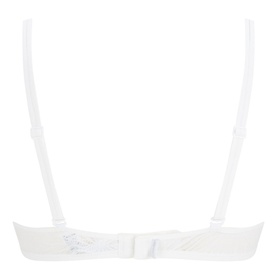 Sheer Marquisette Triangle Bra