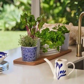 1815 Pacific Watering Can