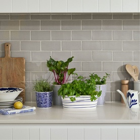 1815 Pacific Trough Planter 25 x 9cm