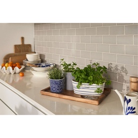 1815 Pacific Trough Planter 25 x 9cm