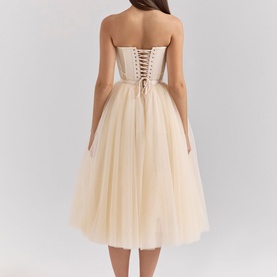 Darling Tulle Corset Dress