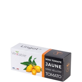 Lingot Yellow Mini-Tomato Seeds