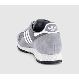 New York Trainers