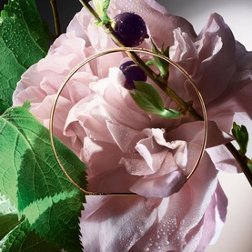 Storm and Roses Eau de Parfum