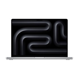 16 Inch M4 MacBook Pro Silver