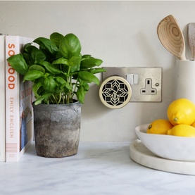 Plug In Wall Diffuser and Refill Set Lemongrass and Ginger