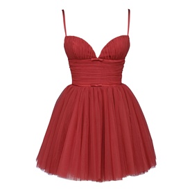 Princess Tulle Mini Dress