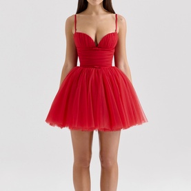Princess Tulle Mini Dress