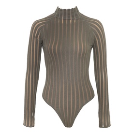 Rowena Velour Sheer Striped Bodysuit