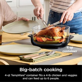 CRISPi 4-in-1 Portable Glass Air Fryer Stone
