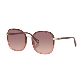 Square Sunglasses