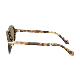 Round Sunglasses AR8236U