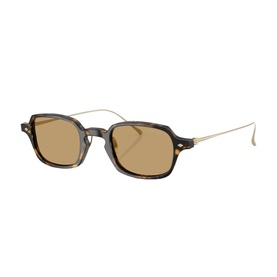 Rectangle Sunglasses AR8227T