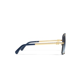 Square Sunglasses CH4288Q