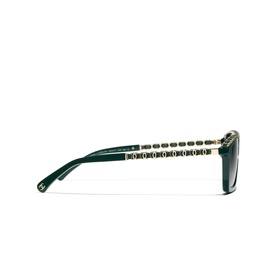 Rectangle Sunglasses CH5548Q