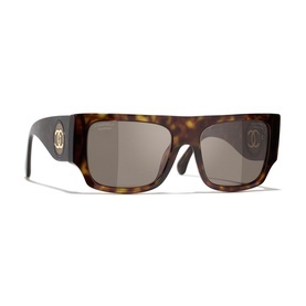 Square Sunglasses CH5549